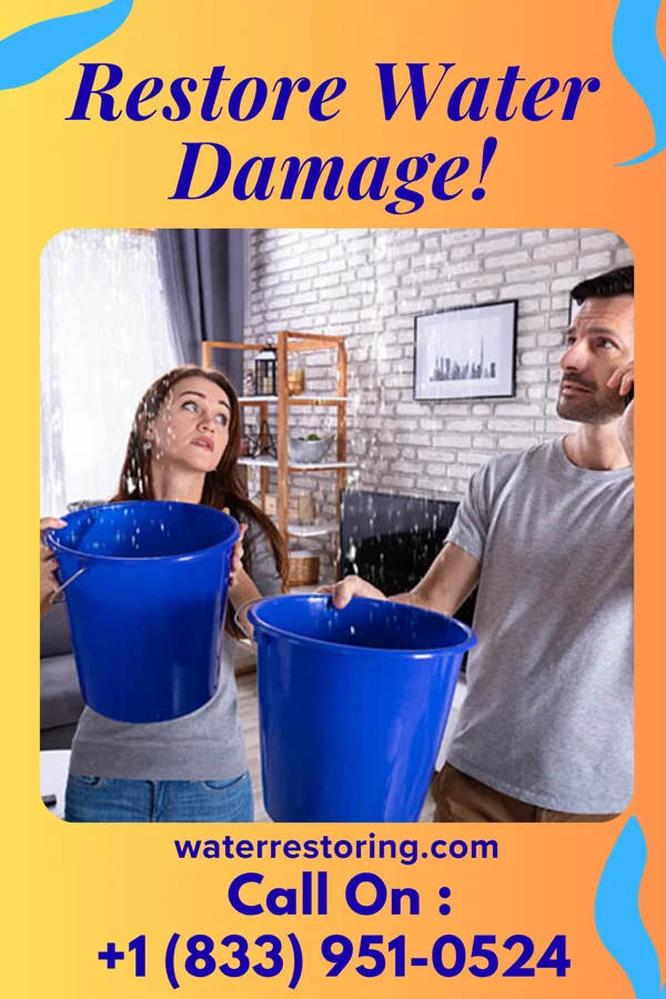 water restoration Elite Disaster Cleanup & Sons Kimball