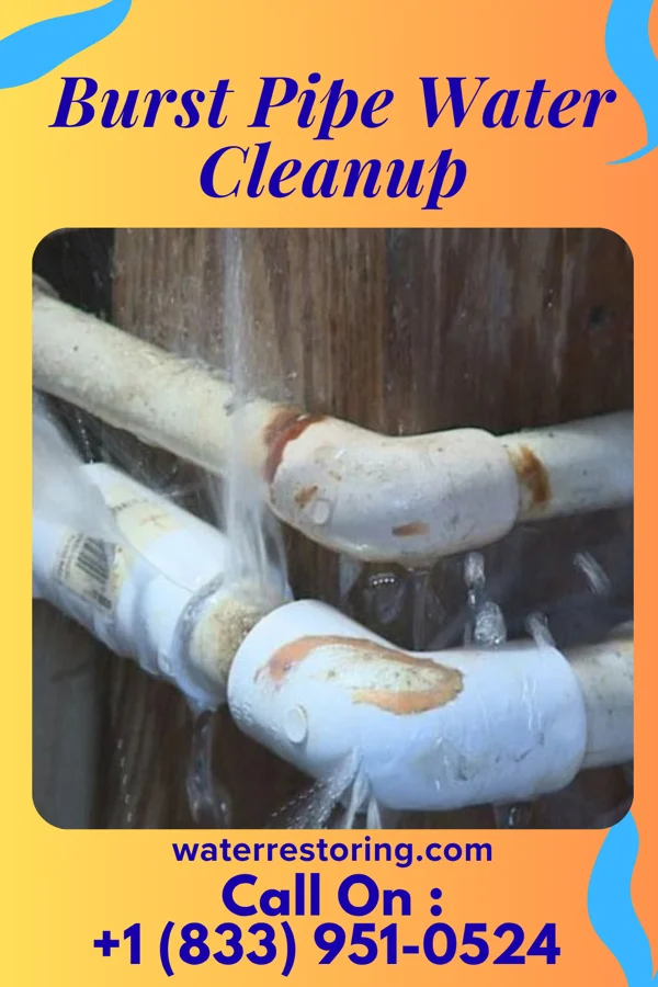 Burst Pipe Water Cleanup in Kimball, WV