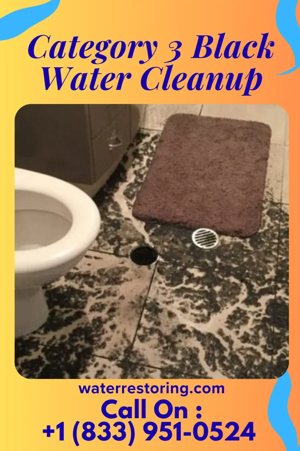 Category 3 Black Water Cleanup in Kimball, WV