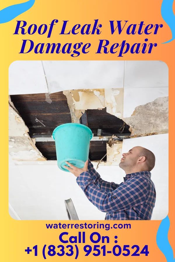 Roof Leak Water Damage Repair in Kimball, WV