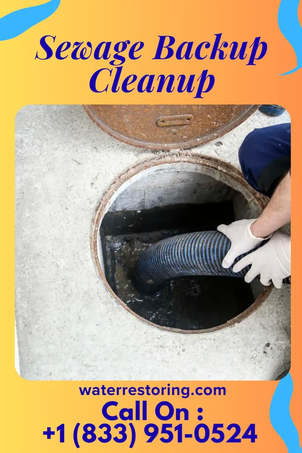 Sewage Backup Cleanup in Kimball, WV